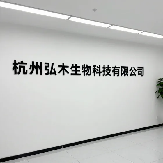 东莞新能源汽车租赁如何避坑